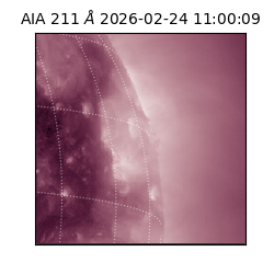saia - 2026-02-24T11:00:09.626000