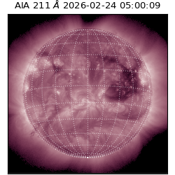 saia - 2026-02-24T05:00:09.626000