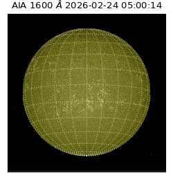 saia - 2026-02-24T05:00:14.125000