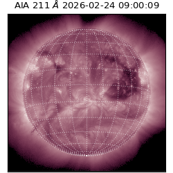saia - 2026-02-24T09:00:09.626000
