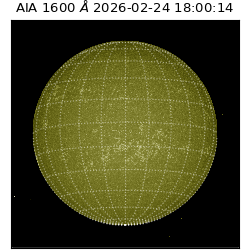 saia - 2026-02-24T18:00:14.129000