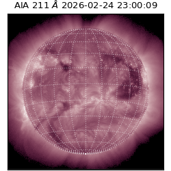saia - 2026-02-24T23:00:09.629000