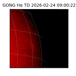 gong - 2026-02-24T09:00:22