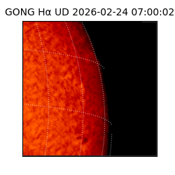 gong - 2026-02-24T07:00:02