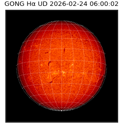 gong - 2026-02-24T06:00:02