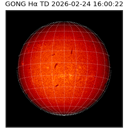 gong - 2026-02-24T16:00:22