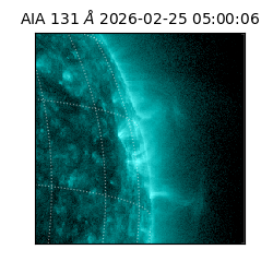 saia - 2026-02-25T05:00:06.646000