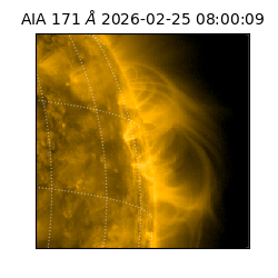 saia - 2026-02-25T08:00:09.343000