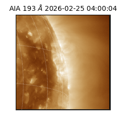 saia - 2026-02-25T04:00:04.846000