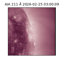 saia - 2026-02-25T03:00:09.626000