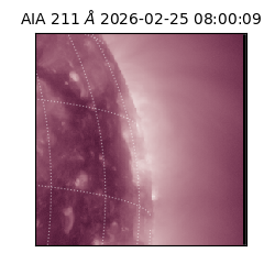 saia - 2026-02-25T08:00:09.618000