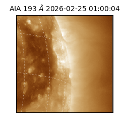 saia - 2026-02-25T01:00:04.835000