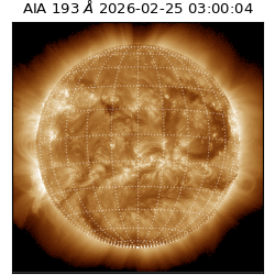 saia - 2026-02-25T03:00:04.847000
