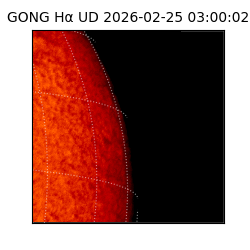gong - 2026-02-25T03:00:02