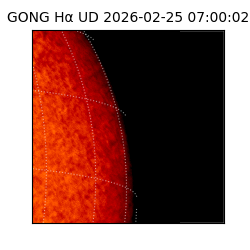 gong - 2026-02-25T07:00:02