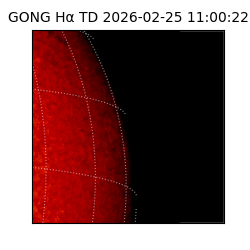 gong - 2026-02-25T11:00:22