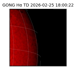 gong - 2026-02-25T18:00:22