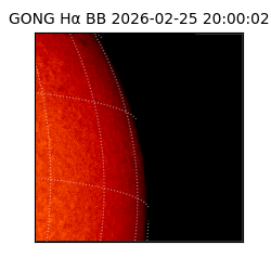 gong - 2026-02-25T20:00:02
