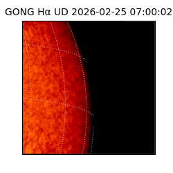 gong - 2026-02-25T07:00:02