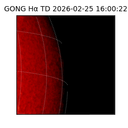 gong - 2026-02-25T16:00:22