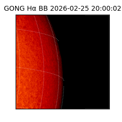 gong - 2026-02-25T20:00:02