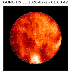 gong - 2026-02-25T01:00:42