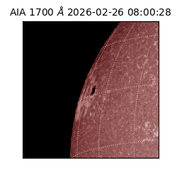 saia - 2026-02-26T08:00:28.744000