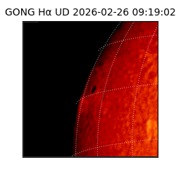 gong - 2026-02-26T09:19:02
