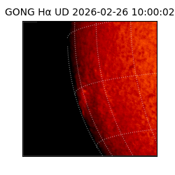 gong - 2026-02-26T10:00:02