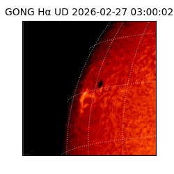 gong - 2026-02-27T03:00:02