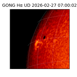 gong - 2026-02-27T07:00:02
