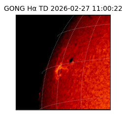 gong - 2026-02-27T11:00:22