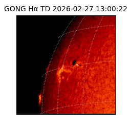 gong - 2026-02-27T13:00:22