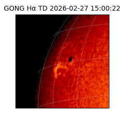 gong - 2026-02-27T15:00:22