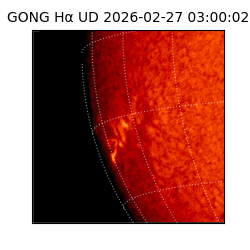 gong - 2026-02-27T03:00:02