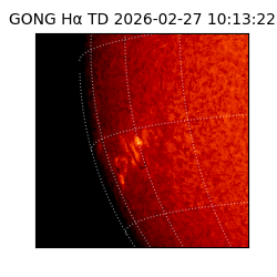 gong - 2026-02-27T10:13:22