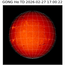 gong - 2026-02-27T17:00:22