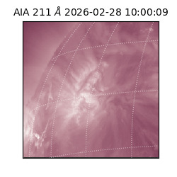 saia - 2026-02-28T10:00:09.626000