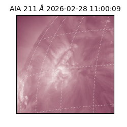 saia - 2026-02-28T11:00:09.629000