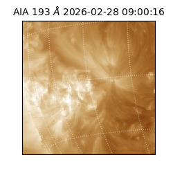 saia - 2026-02-28T09:00:16.843000