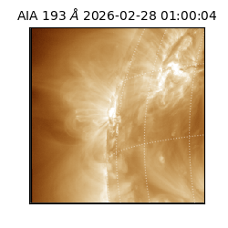 saia - 2026-02-28T01:00:04.843000