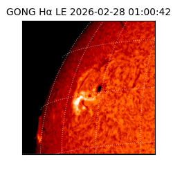 gong - 2026-02-28T01:00:42