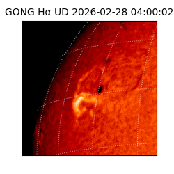 gong - 2026-02-28T04:00:02