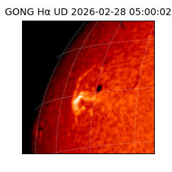gong - 2026-02-28T05:00:02