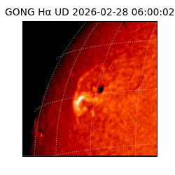 gong - 2026-02-28T06:00:02