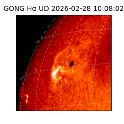 gong - 2026-02-28T10:08:02