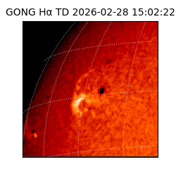 gong - 2026-02-28T15:02:22