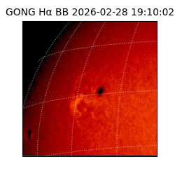 gong - 2026-02-28T19:10:02