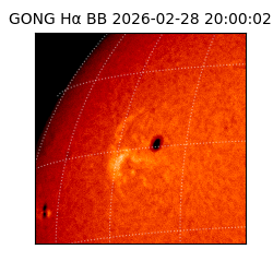 gong - 2026-02-28T20:00:02