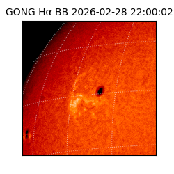 gong - 2026-02-28T22:00:02